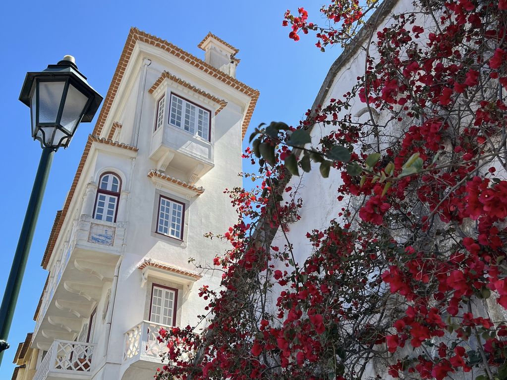 Mooie bloemen in Cascais